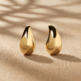 Pendientes Wild